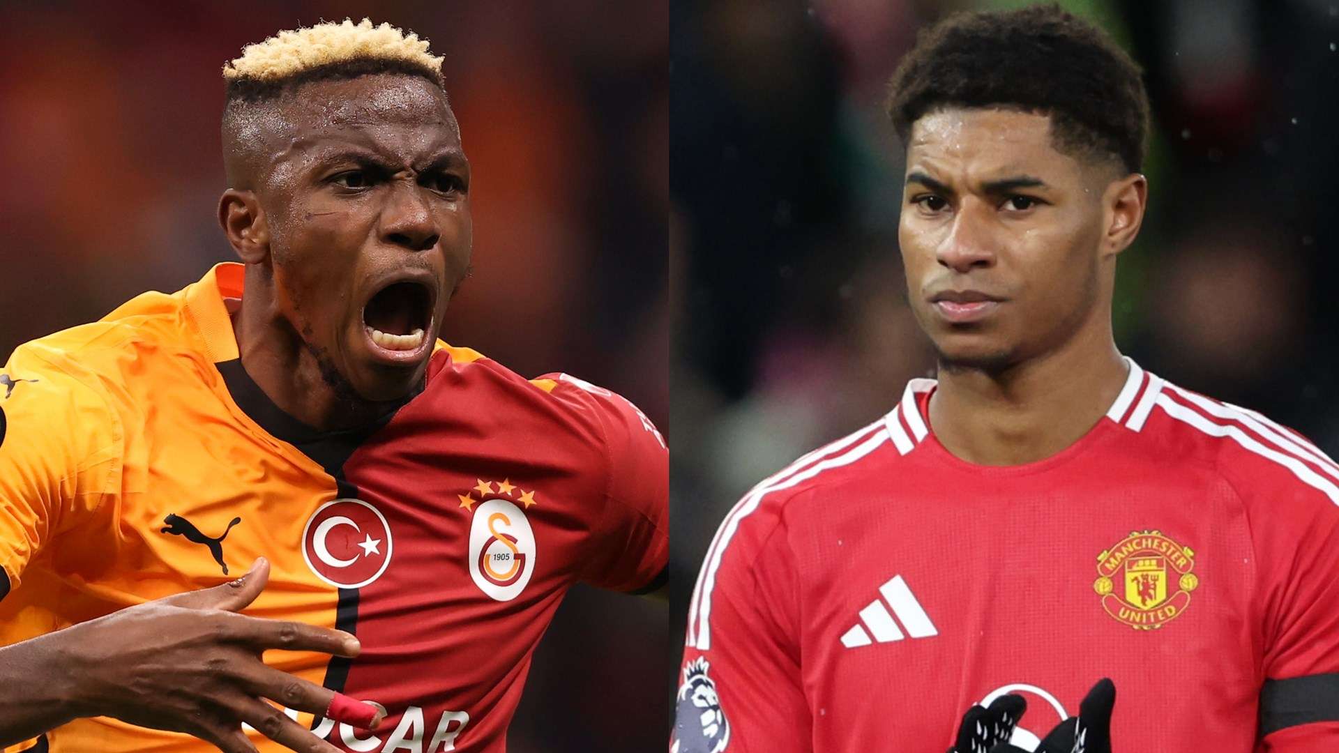 追逐自己的 追逐自己的