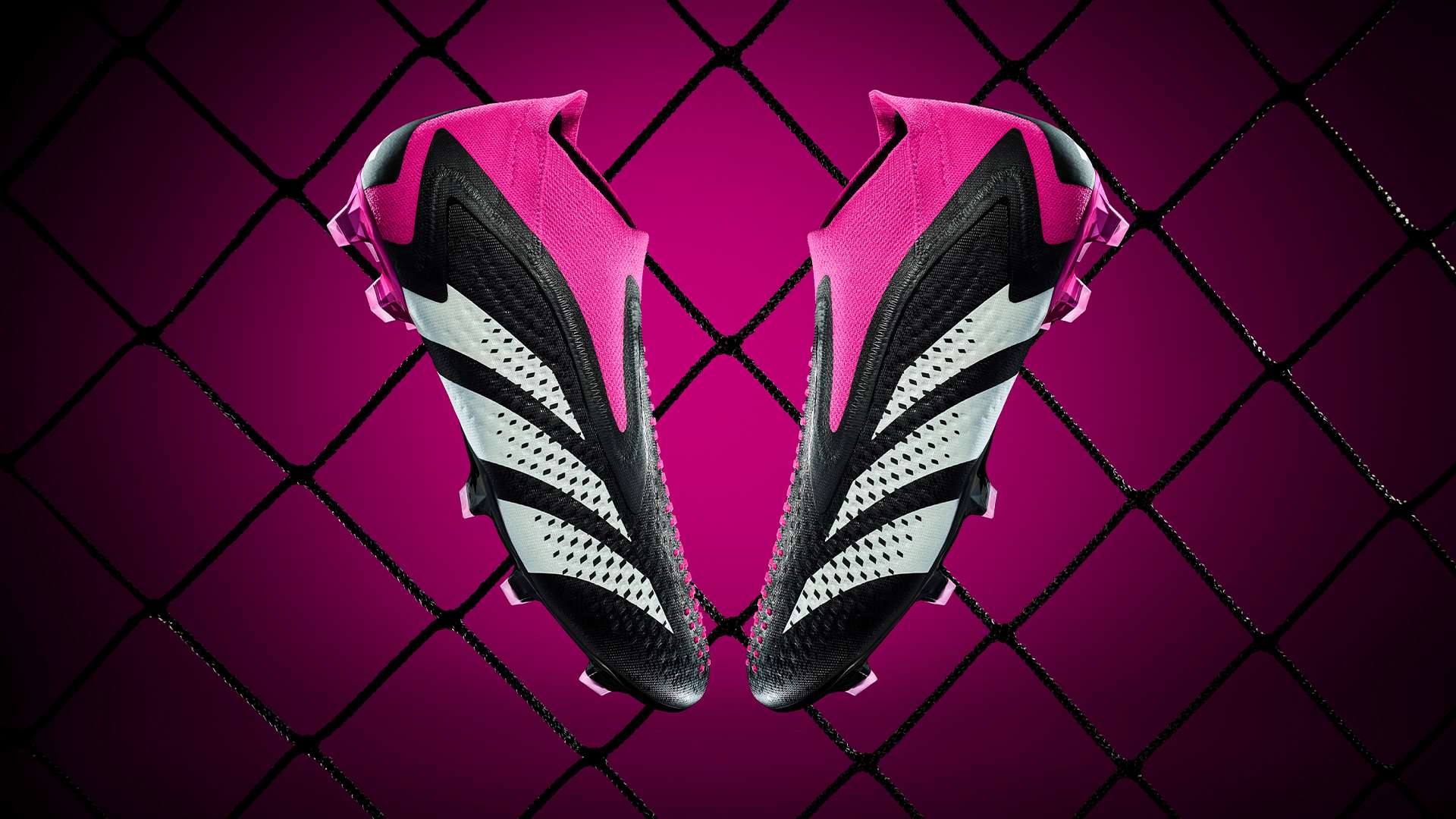 教练组深知 教练组深知